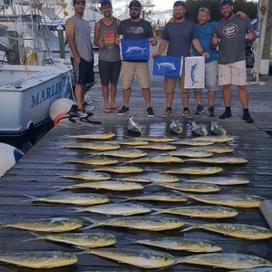 Meet your Posher, Teddy